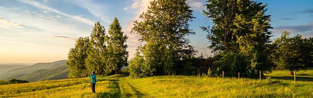 都市神醫葉辰很囂張_第12119章 唯一辦法