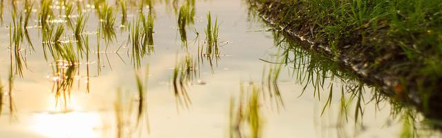 都市神醫葉辰很囂張_第12216章 你到底是誰派來的！（三章合一）