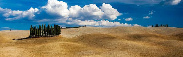 斯坦索姆神豪繁體免費章節免費享，期待您的品鑒