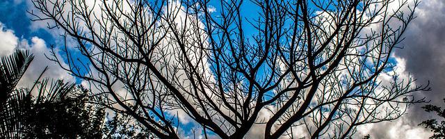 都市神醫葉辰很囂張_第 11778 章 虛無