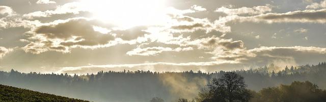 都市神醫葉辰很囂張_第12174章 斬鴻鈞