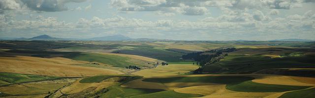 戰錘巫師繁體免費章節，邀您共賞