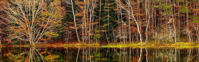 都市神醫葉辰很囂張_第132章 真卑鄙！（三更連發，求推薦票！）