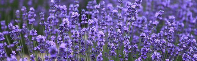 穿越火線之我在火線世界繁體免費章節免費享，期待您的品鑒