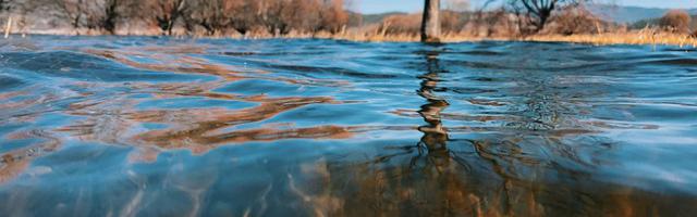 上門龍婿葉辰蕭初然_第94章 雷來！