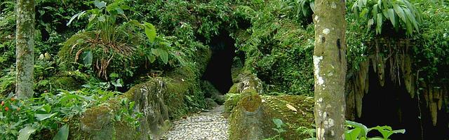 重生之鬼王歸來繁體免費章節，邀您共賞