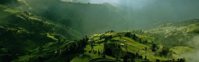 上門龍婿葉辰蕭初然_第2865章 十萬大山老神仙