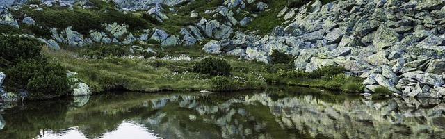 都市神醫葉辰很囂張_第12120章 天空上