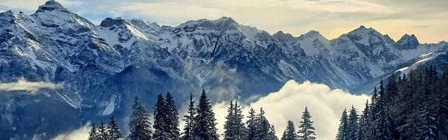 都市神醫葉辰很囂張_第400章 彌天大謊！（四更！）