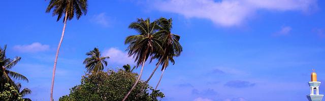 第九守秘局繁體免費章節，邀您共賞