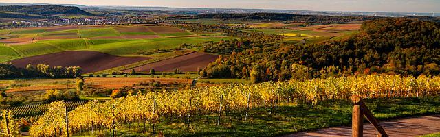 上門龍婿葉辰蕭初然_第3201章 別提丹藥的事