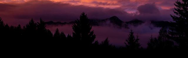 龍王傳說的天才科學家繁體免費章節免費享，期待您的品鑒