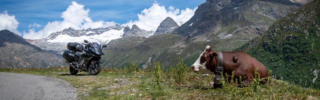 上門龍婿葉辰蕭初然_第3190章 能隨公子一同前往嗎？