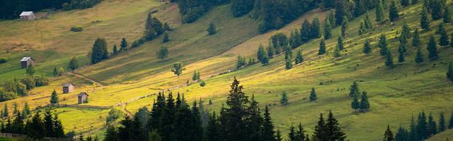 都市神醫葉辰很囂張_第 11963 章 星空彼岸的邀請