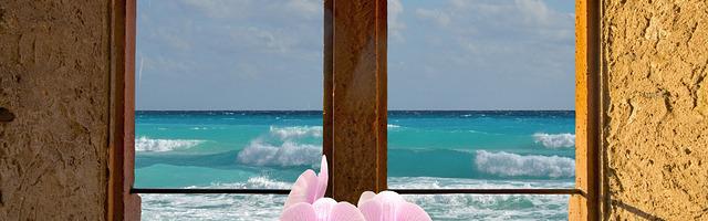 都市神醫葉辰很囂張_第1136章 鳳鳴一出，震懾八荒！（三更）