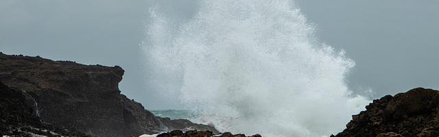 都市神醫葉辰很囂張_第22章 不惜一切代價拉攏此人！