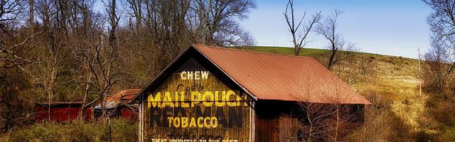 都市神醫葉辰很囂張_第295章 藥王谷！（一更！）