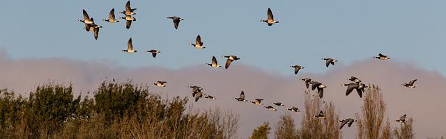 上門龍婿葉辰蕭初然_第3197章 再赴北歐