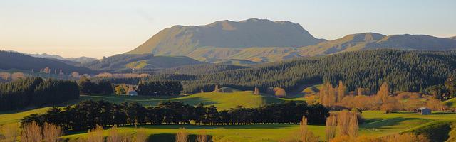 你好，少帥！繁體免費章節免費享，期待您的品鑒