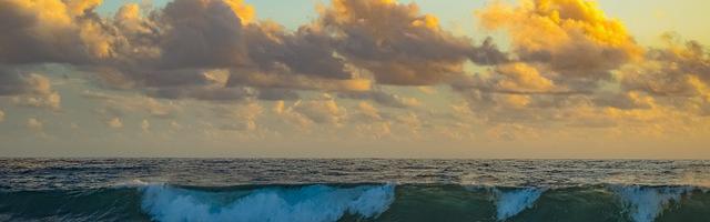 上門龍婿葉辰蕭初然_第118章 剁碎了喂狗！