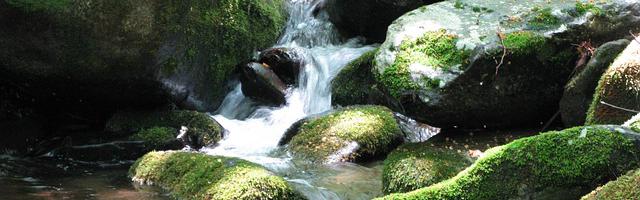 都市神醫葉辰很囂張_第292章 逆天天賦！（四更！）