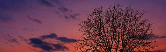 都市神醫葉辰很囂張_第12074章 再送你