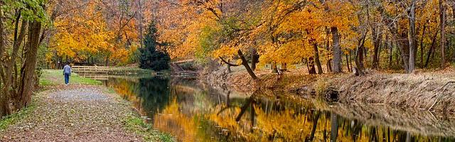 重生最強穿越繁體免費章節，邀您共賞