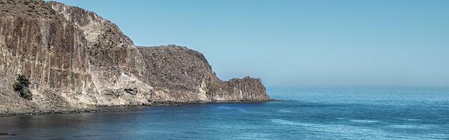 上門龍婿葉辰蕭初然_第3012章 應該是同一個