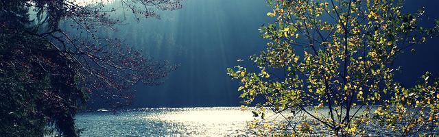 都市神醫葉辰很囂張_第12206章 他的善念？