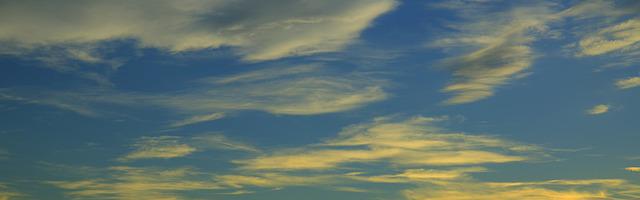 都市神醫葉辰很囂張_第33章 來來來，張嘴（加更！）