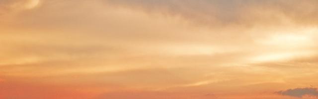 我真的在打籃球繁體免費章節免費享，期待您的品鑒