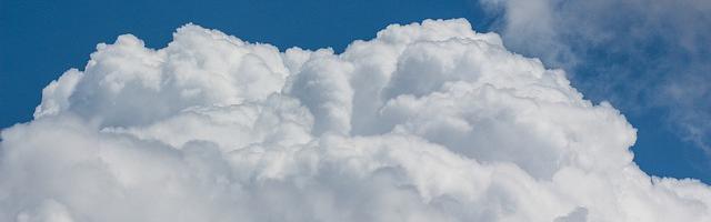 天師繁體免費章節，邀您共賞