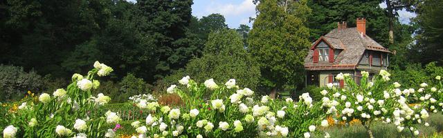 都市神醫葉辰很囂張_第154章 你誤會了！（加更！求推薦票！）