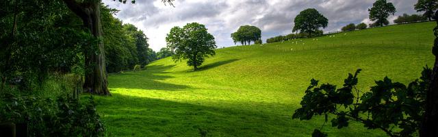 上門龍婿葉辰蕭初然_第2962章 突破口