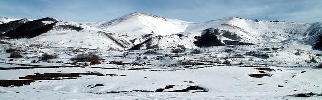 上門龍婿葉辰蕭初然_第3203章 各取所需、皆大歡喜