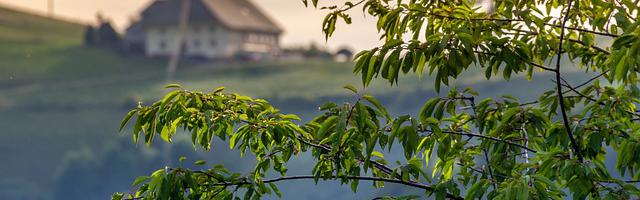 都市神醫葉辰很囂張_第100章 嚴重！（求推薦票！）