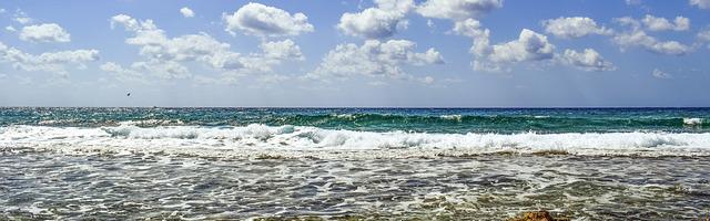 風起龍城繁體免費章節，邀您共賞