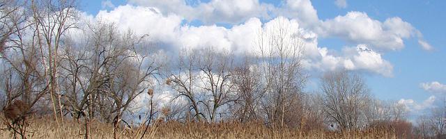 王者榮耀之諸葛亮繁體免費章節免費享，期待您的品鑒