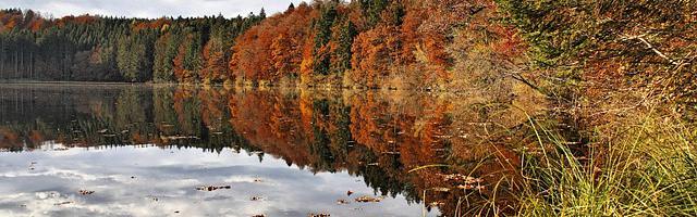 上門龍婿葉辰蕭初然_第17章 你什么意思？