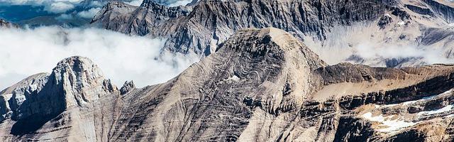 上門龍婿葉辰蕭初然_第255章 死都不會救他