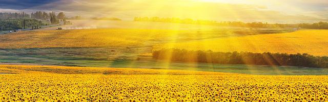 聊天群：開局駕馭時王之力繁體免費章節免費享，期待您的品鑒