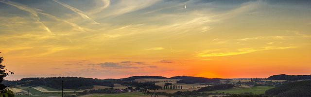 上門龍婿葉辰蕭初然_第59章 自甘墮落