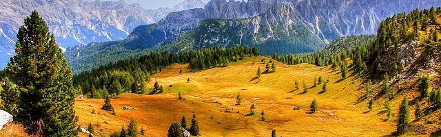 上門龍婿葉辰蕭初然_第3132章 成年人的崩潰