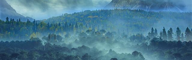 都市神醫葉辰很囂張_第12230章 舍利（三章合一）