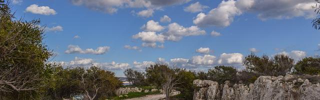 全能游戲設計師繁體免費章節免費享，期待您的品鑒