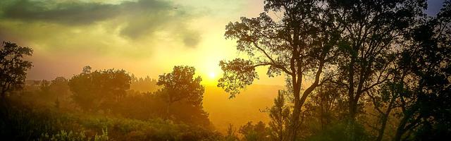 都市神醫葉辰很囂張_第12164章 果然有效