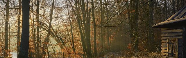 快穿系統：男神養成手冊繁體免費章節，邀您共賞