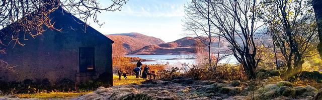 我老婆是大將軍繁體免費章節，邀您共賞