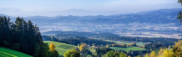 上門龍婿葉辰蕭初然_第1347章 把她帶出去！