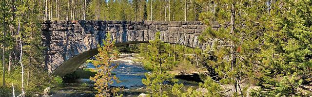 都市神醫葉辰很囂張_第12034 章 幽幽青蓮